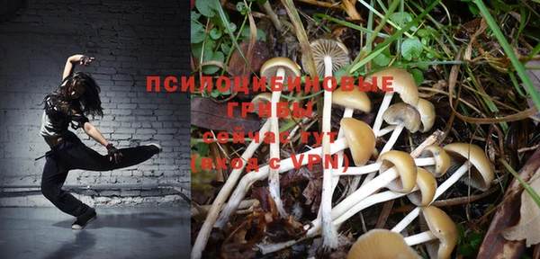 шишки Алзамай