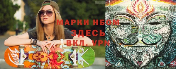 шишки Алзамай