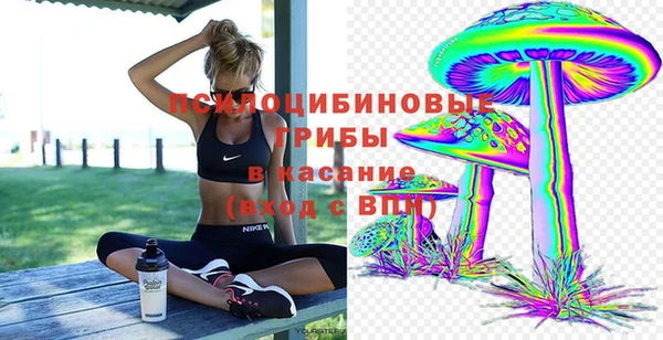 ГАЛЛЮЦИНОГЕННЫЕ ГРИБЫ Алексин
