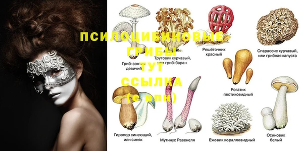 ГАЛЛЮЦИНОГЕННЫЕ ГРИБЫ Алексин