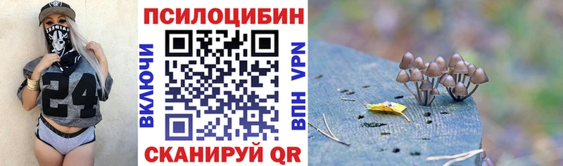 Псилоцибиновые грибы Psilocybine cubensis Ессентукская